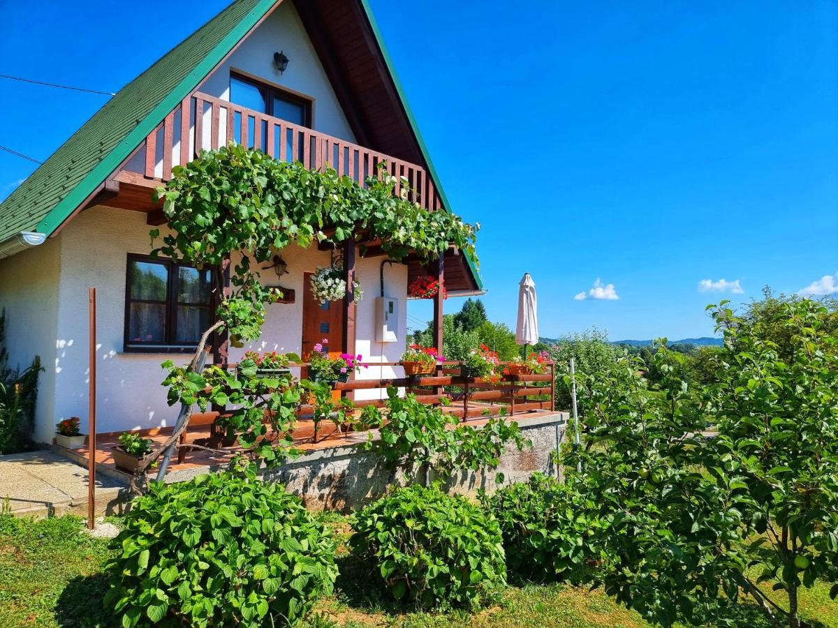Guesthouse Mreznica- Mreznicka Idila Resort Galovic-Selo Ngoại thất bức ảnh