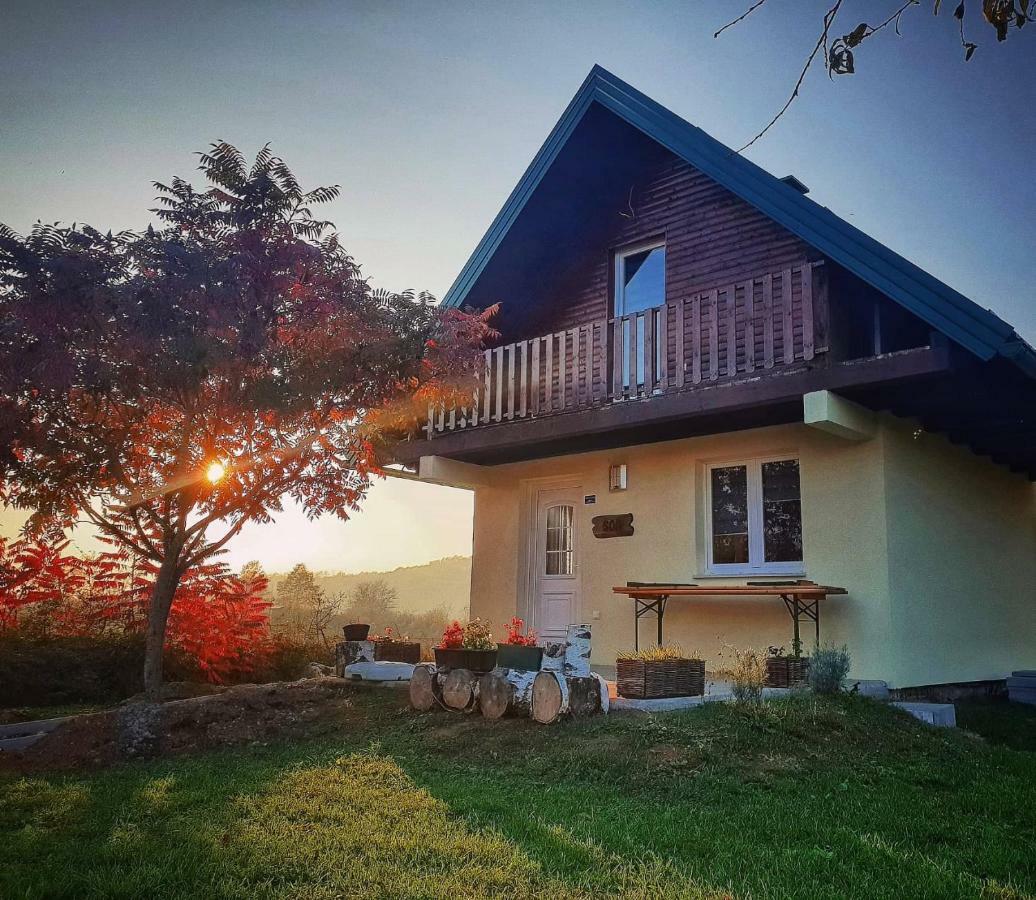 Guesthouse Mreznica- Mreznicka Idila Resort Galovic-Selo Ngoại thất bức ảnh